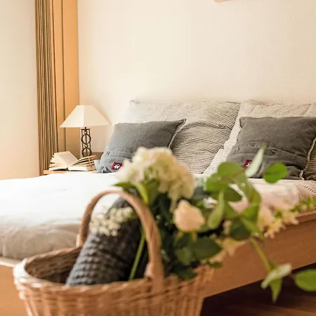 Appartement Chateau A-3 By Interhome Saas-Fee